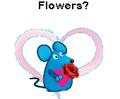 clicl this link so you can orfer flowers and raise money for MS Research